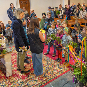 Palmsonntag Pfarre Kirchdorf an der Krems