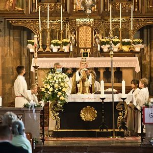 555 Jahre Stadtpfarrkirche St. Stephan
