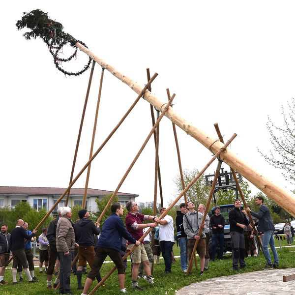Maibaumaufstellen 2022 / © Pfarrgemeinde Schönering Maibaumaufstellen 2022