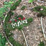 Künstlerwerkstatt @Wald