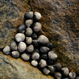 Von der Natur gegeben. © earl53/morguefile.com